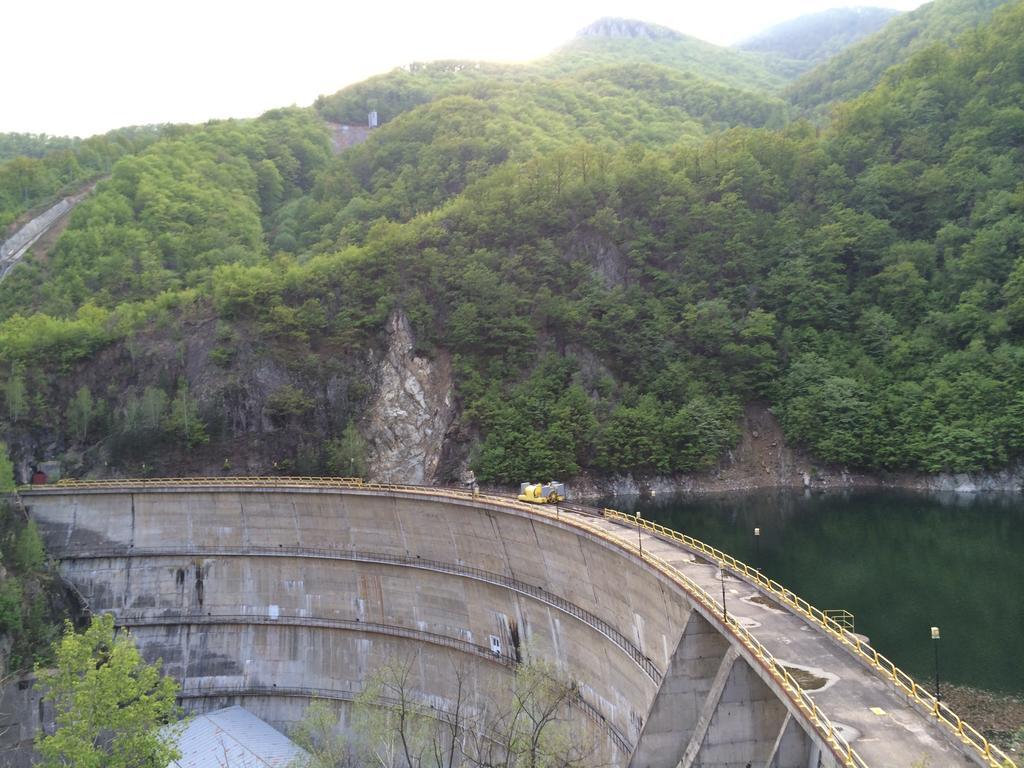 Отель Pensiunea Floare De Colt Бэиле-Еркулане Экстерьер фото