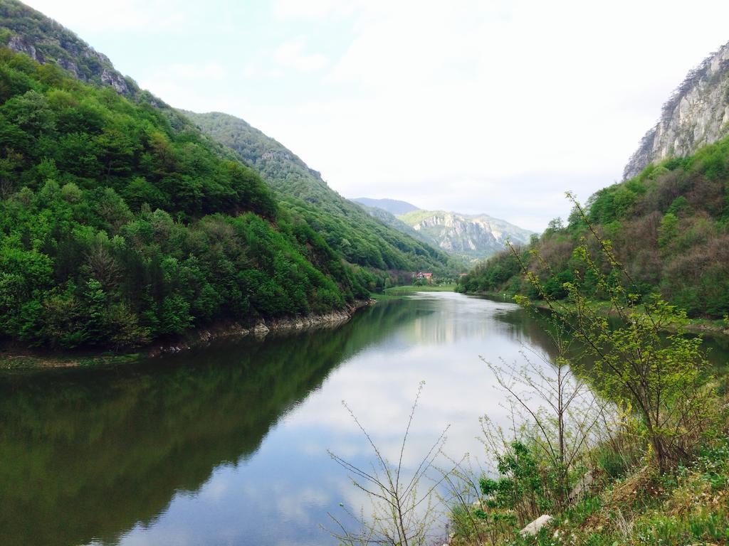 Отель Pensiunea Floare De Colt Бэиле-Еркулане Экстерьер фото